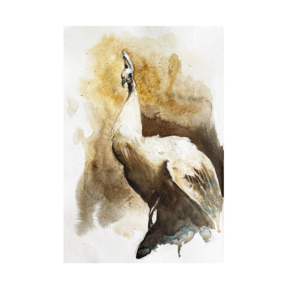 Акварель. Художник и Фотограф Тимохина Юлия