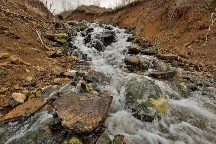 Загородная фотосъёмка в МО — простор, свежий воздух и уникальные декорации