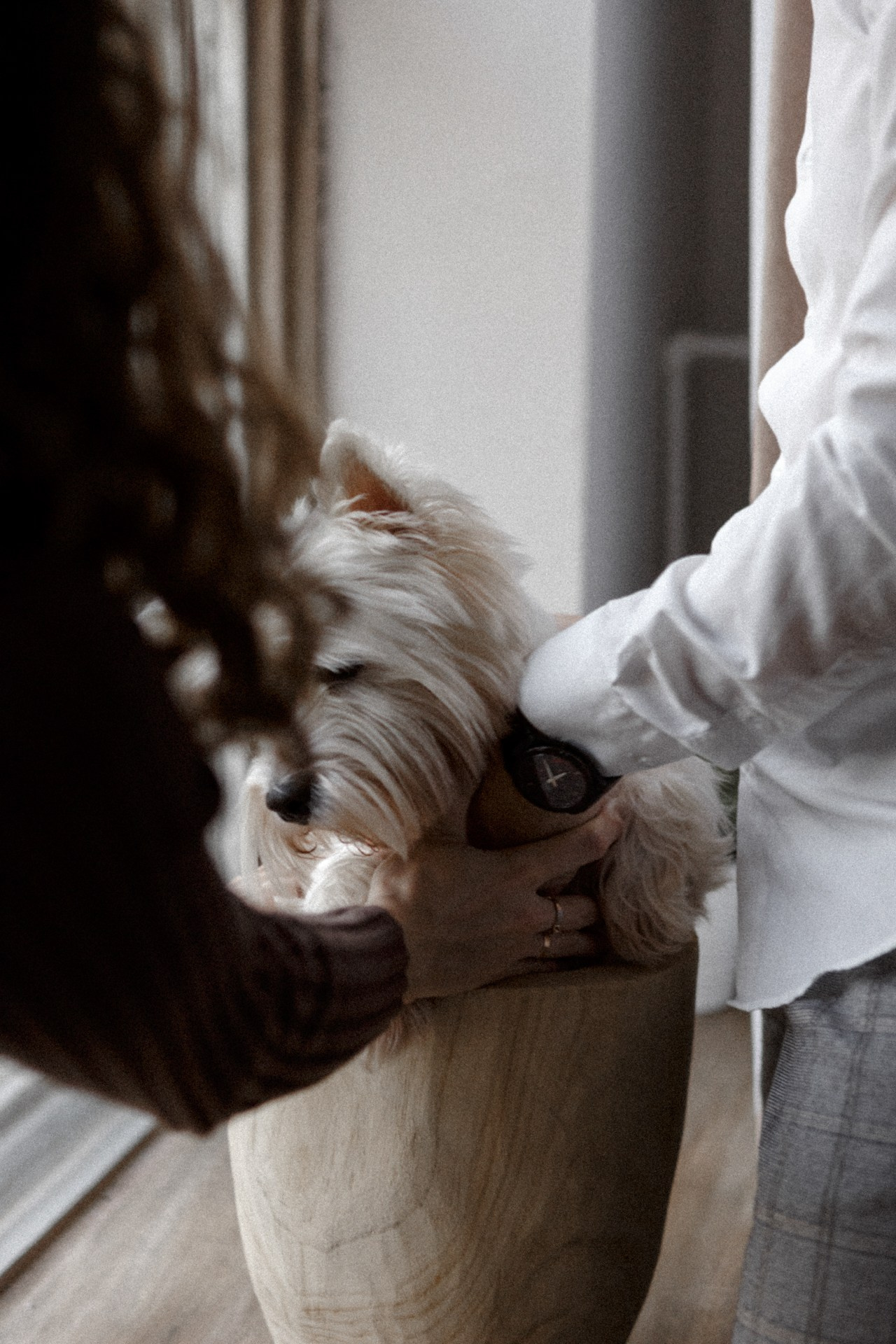 Счастье на двоих. Фотограф Владимир Молоканов