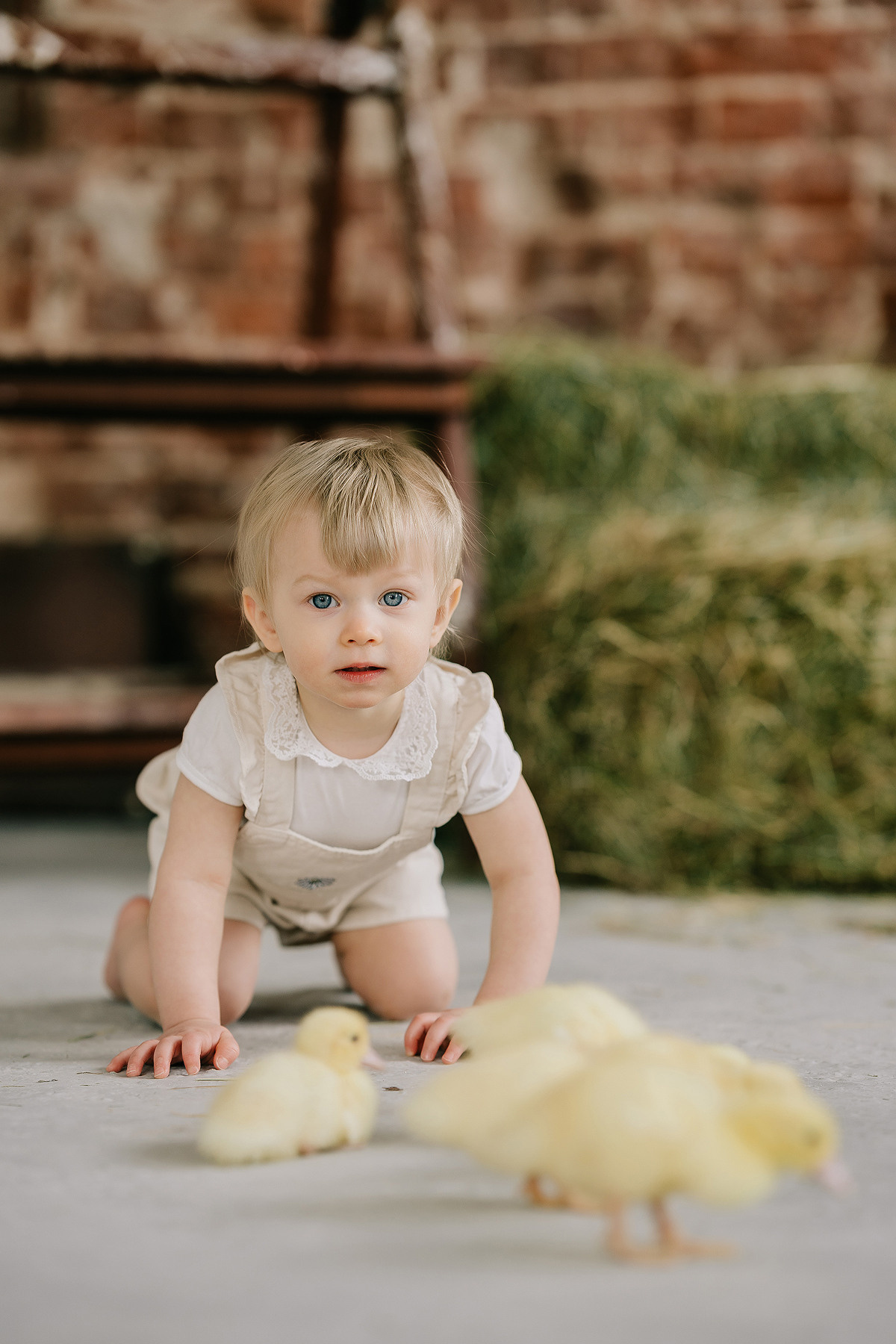 С УТЯТАМИ И КРОЛИКАМИ. Свадебный и семейный фотограф Юлия Грибанова +7 909-133-66-33