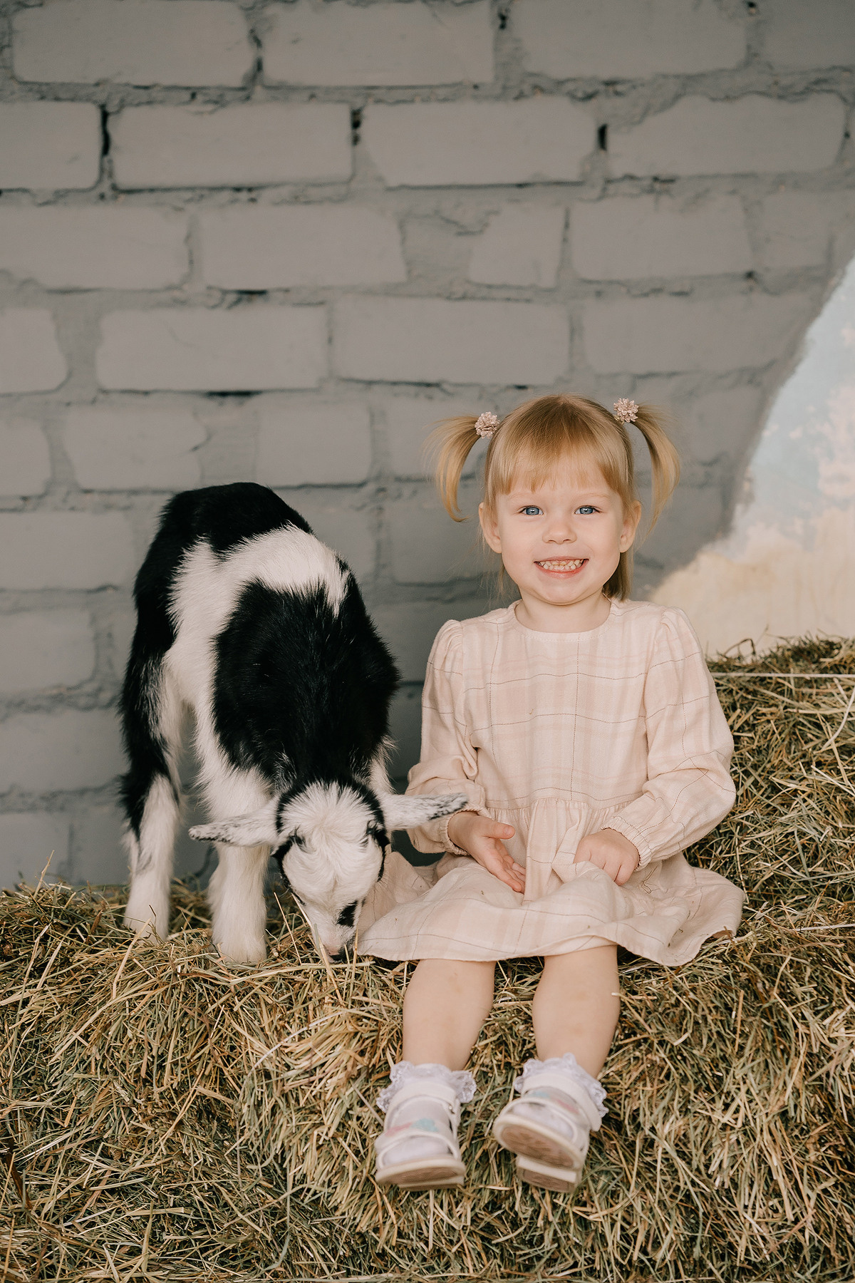 КОКОСИК. Свадебный и семейный фотограф Юлия Грибанова +7 909-133-66-33