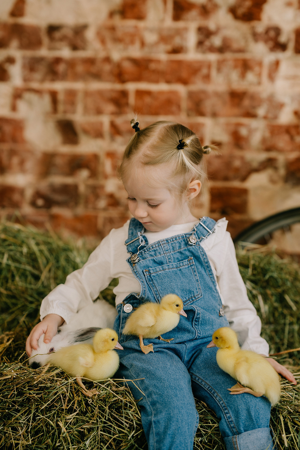 С УТЯТАМИ И КРОЛИКАМИ. Свадебный и семейный фотограф Юлия Грибанова +7 909-133-66-33