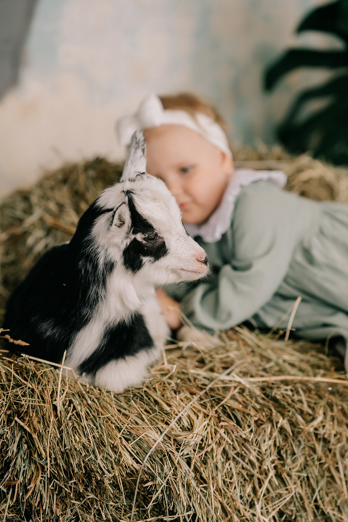 КОКОСИК. Свадебный и семейный фотограф Юлия Грибанова +7 909-133-66-33