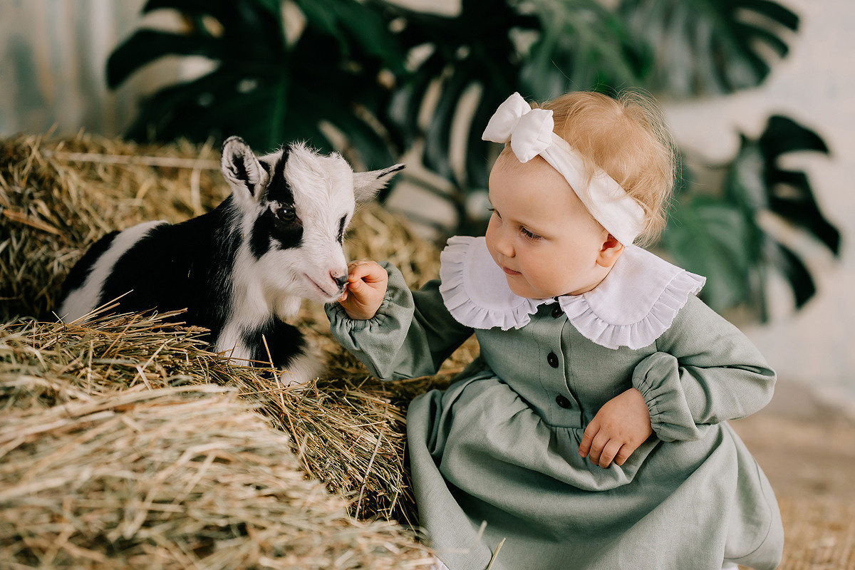 КОКОСИК. Свадебный и семейный фотограф Юлия Грибанова +7 909-133-66-33