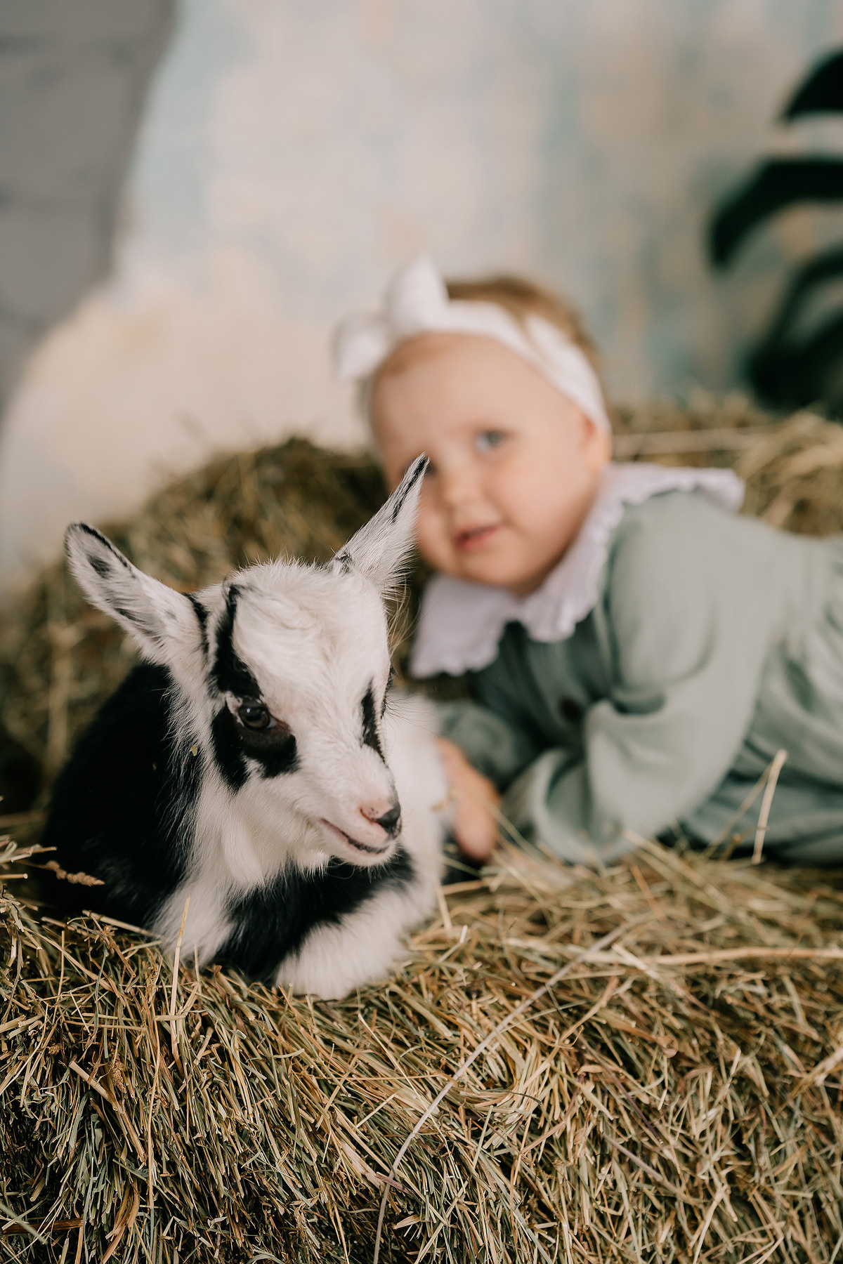 КОКОСИК. Свадебный и семейный фотограф Юлия Грибанова +7 909-133-66-33