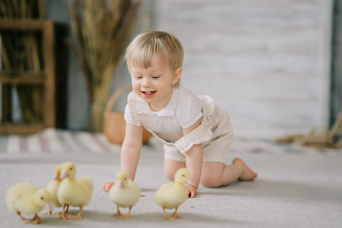 С УТЯТАМИ И КРОЛИКАМИ. Свадебный и семейный фотограф Юлия Грибанова +7 909-133-66-33