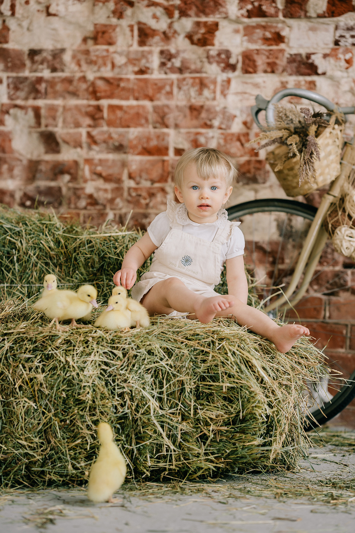 С УТЯТАМИ И КРОЛИКАМИ. Свадебный и семейный фотограф Юлия Грибанова +7 909-133-66-33