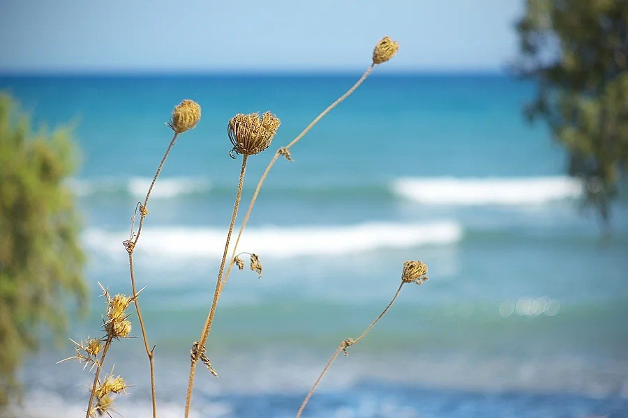 Путешествия. Фотограф Ирина Абзалова