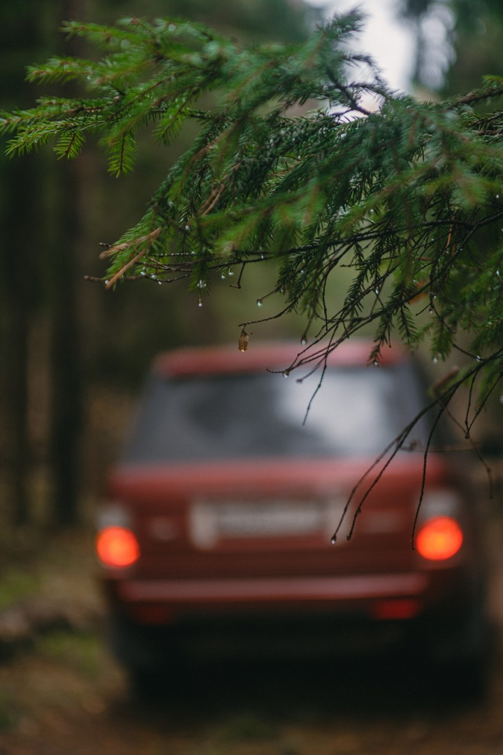 Фотосъемка джипа Range Rover в лесу. Жуков Илья  свадебный фотограф в Москве