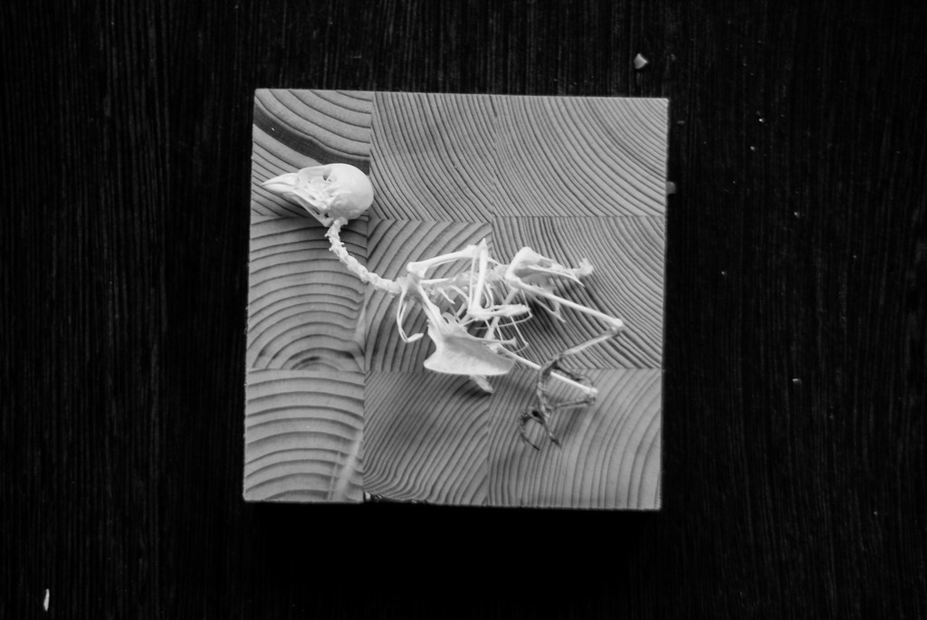 Welcome. Фото Стремского