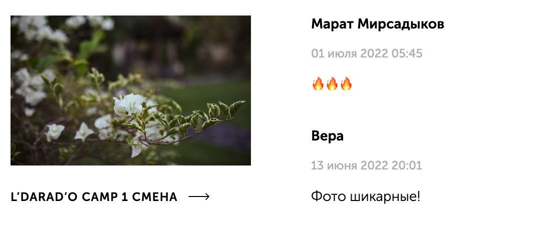 Отзывы. Александр Падежов — фотограф в Москве | Репортаж, бизнес, студия, свадьбы, семья