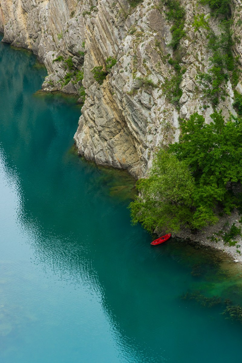 Главрыба. Photomantis