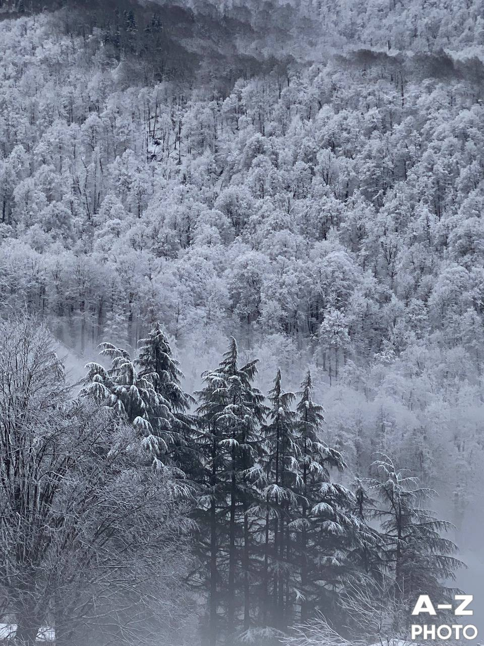 #ФОТОНЕДЕЛИ 12.01.2026. Женский семейный фотограф Тула Москва Захарова Анна