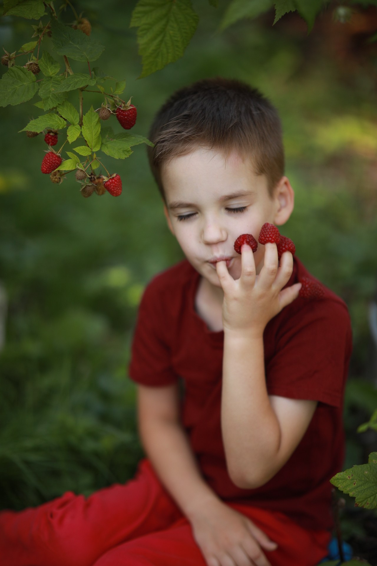 Ягода-малина. Фотограф Юлия Рязанова Москва семейный и детский