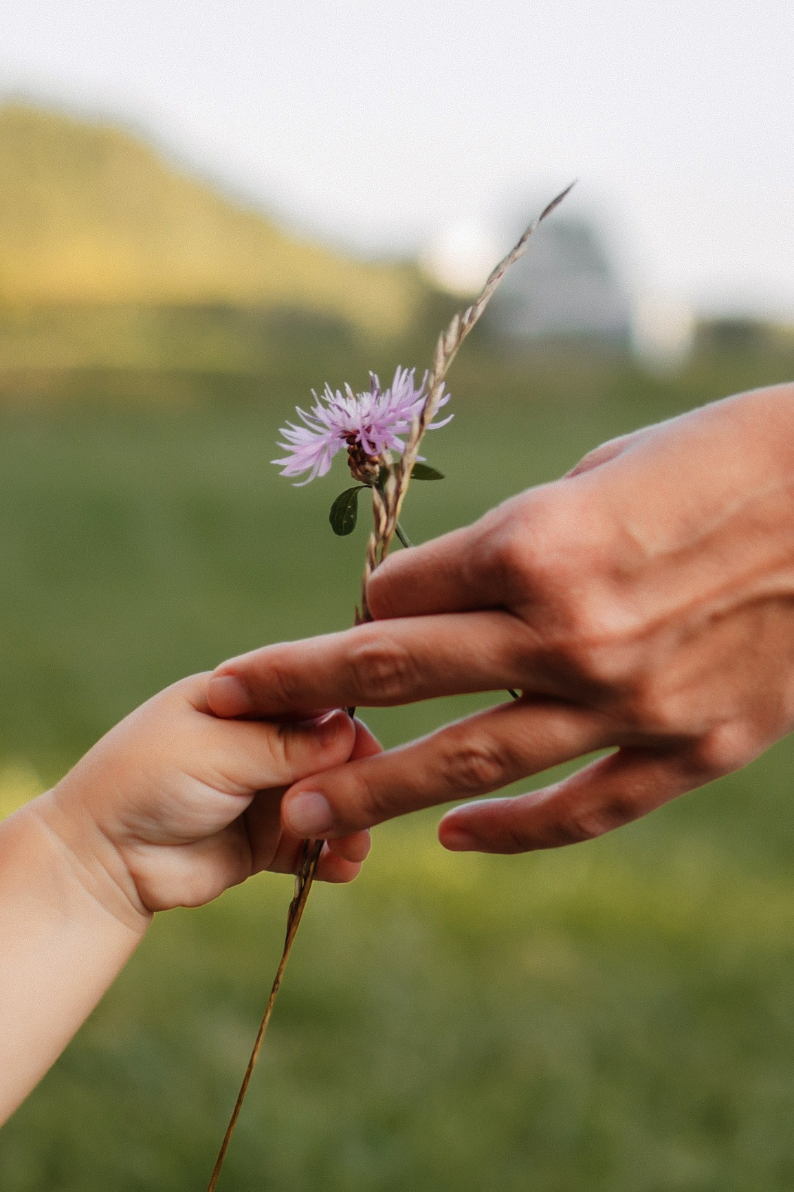 Даша, Миша, Вова. Семейный фотограф и видеограф Попова Юлия