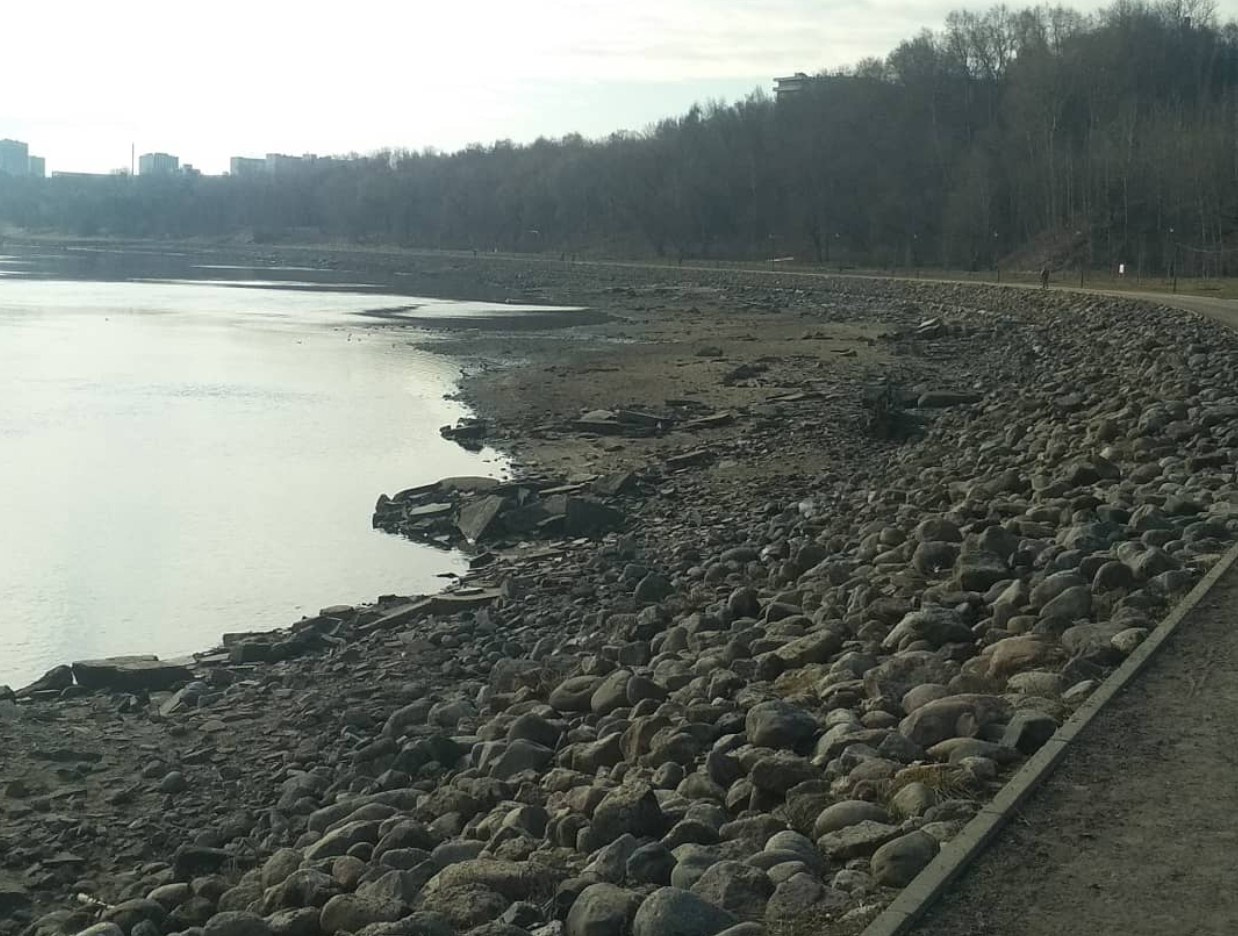 Фотосъёмка на аллеях московского парка — симметрия деревьев и перспектива дорожек