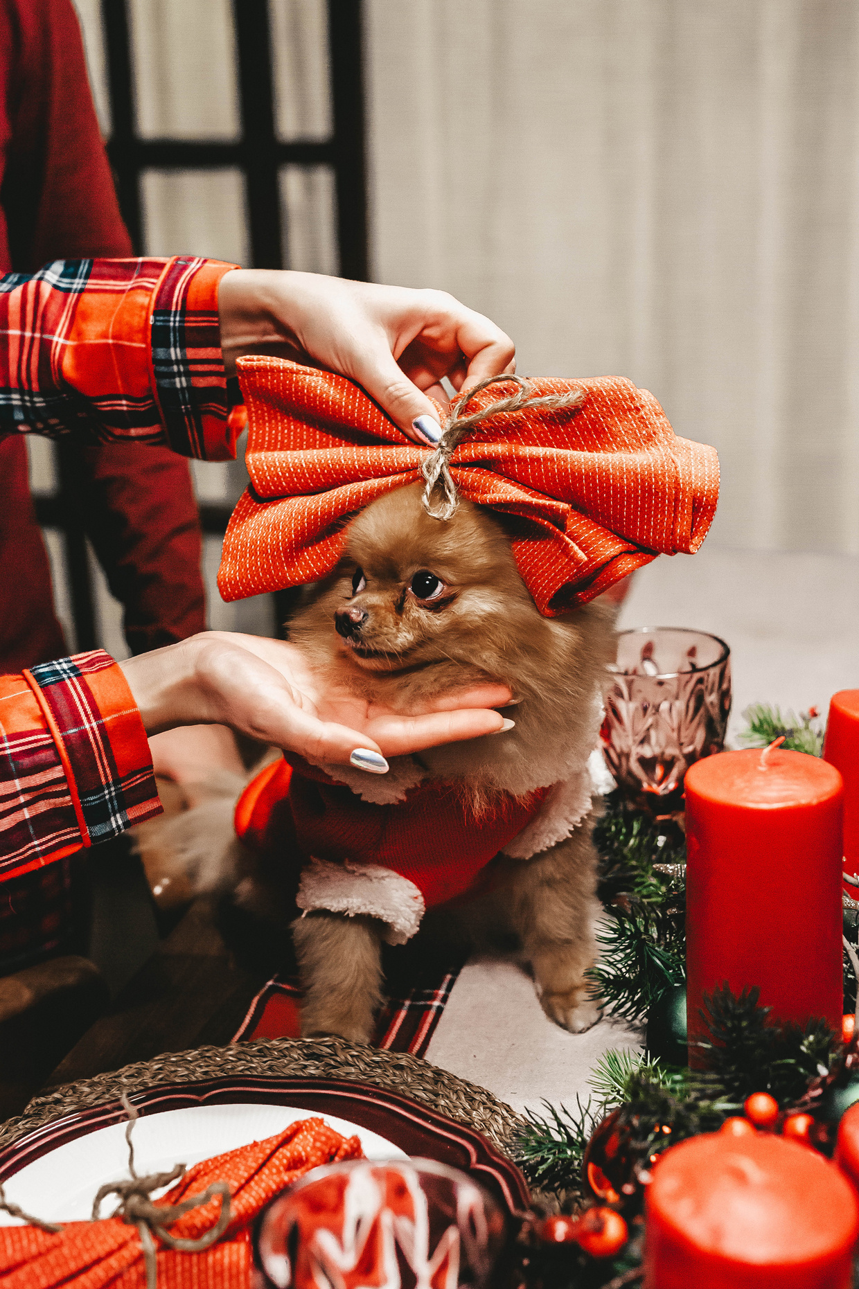 Nazilya. Фотограф Валентина Григорьева, г. Москва