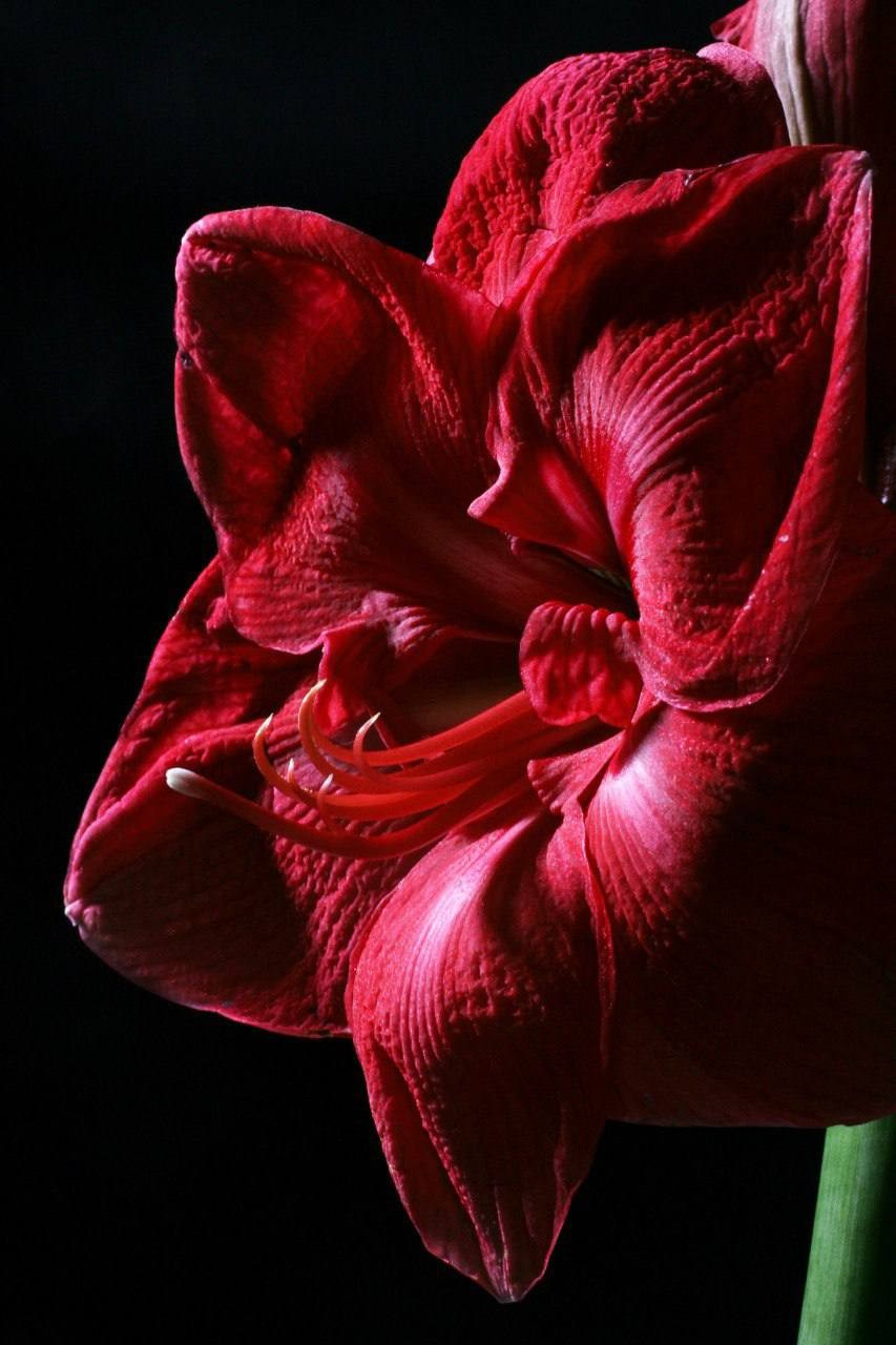 Предметы. Фотограф в Москве Юлия Майорова