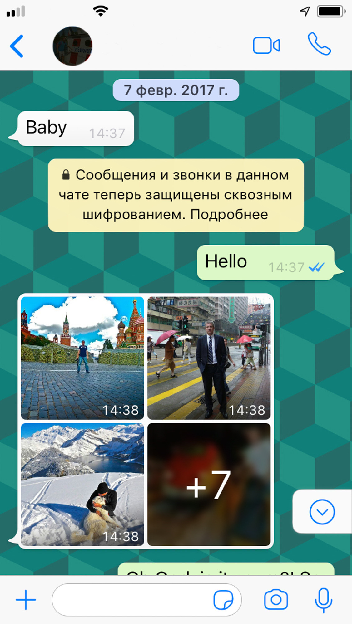 Jungle Love. Albina Galeeva modern photographer