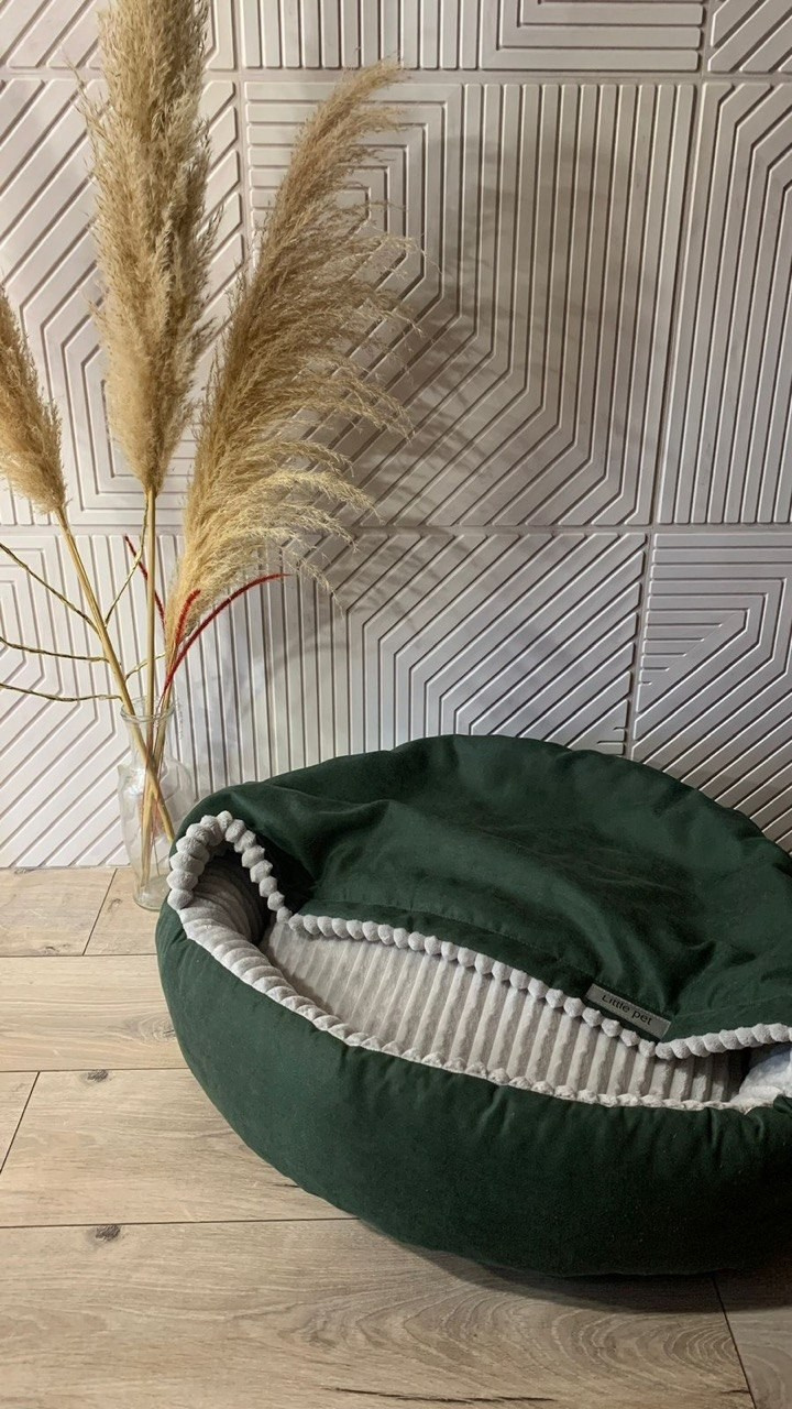 Сон и отдых. Профессиональный питомник левреток РКФ/FCI ASTI SAPPHIRE 💎 Сочи|Санкт-Петербург