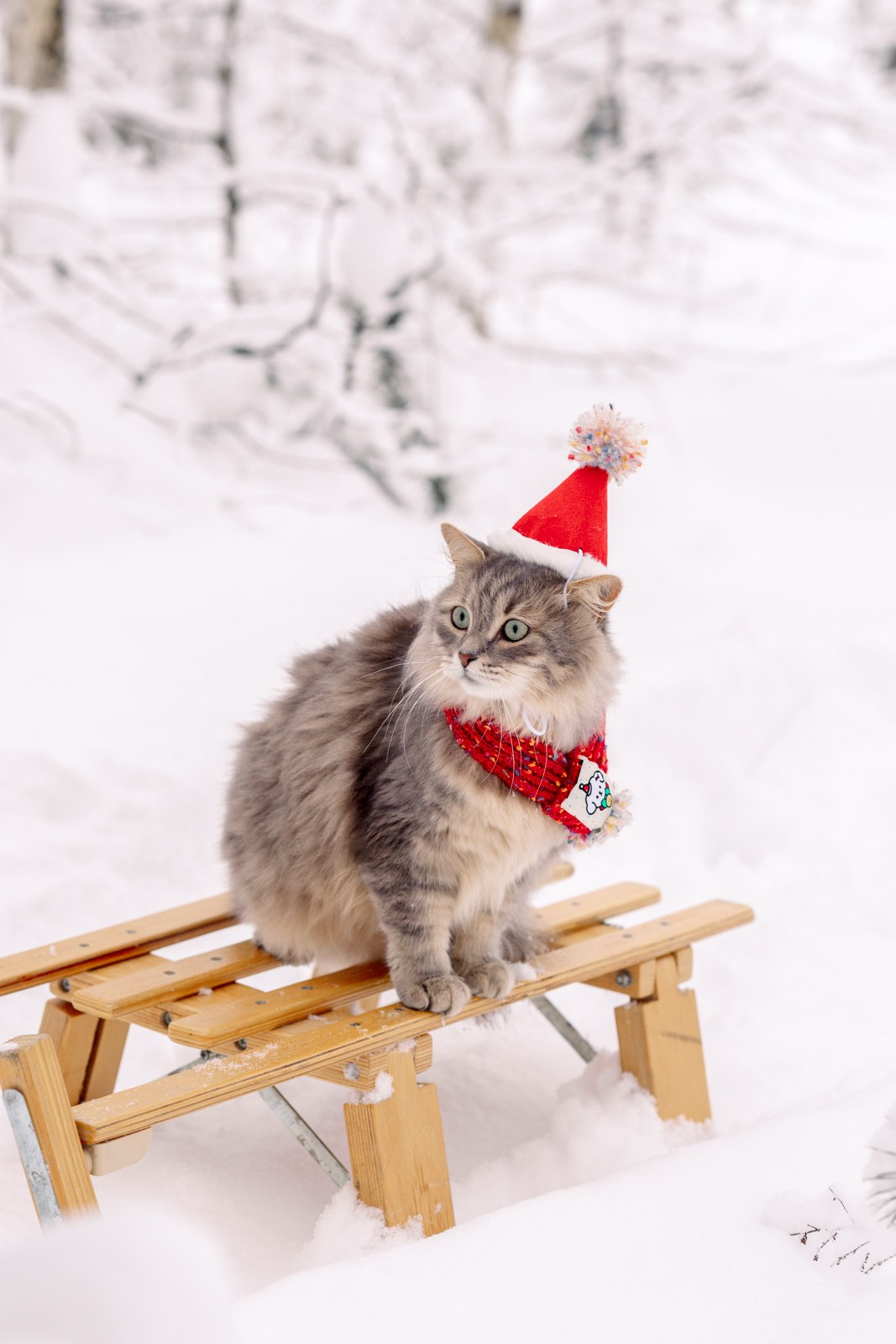 Прогулка. Ваш фотограф Наталья Лаэтина