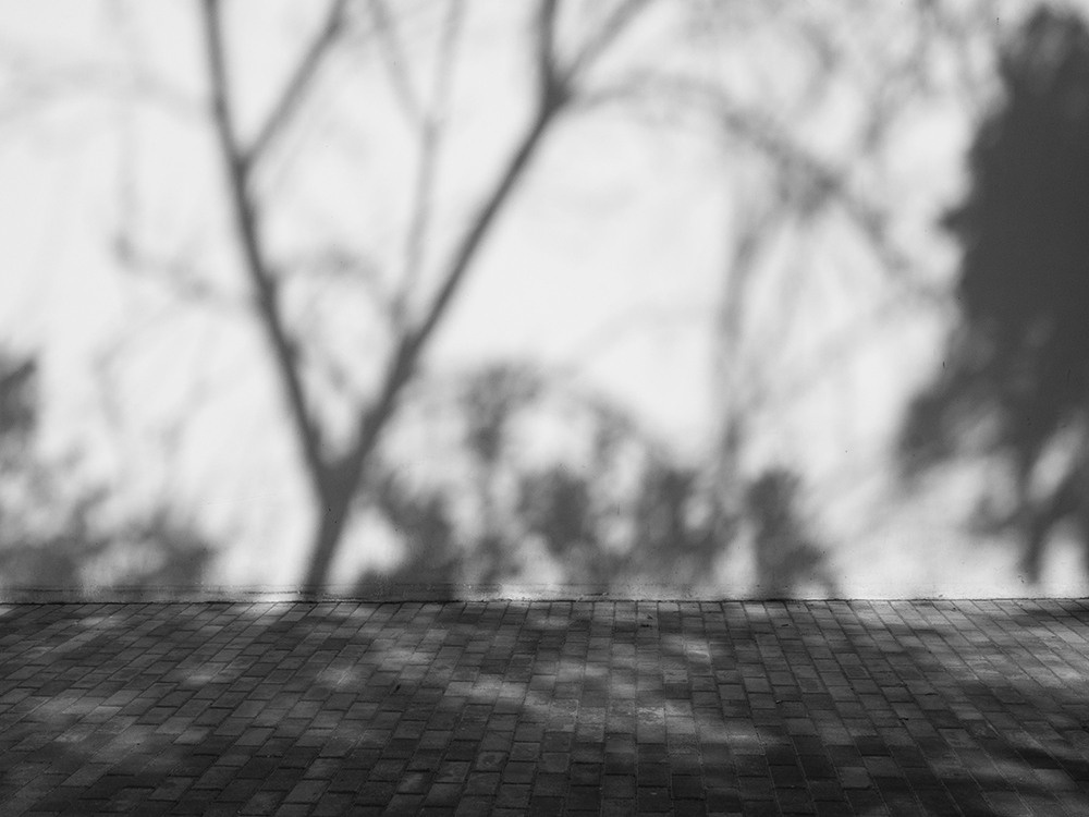 Monochrome. Elena Beregatnova. Documentary and art photographer