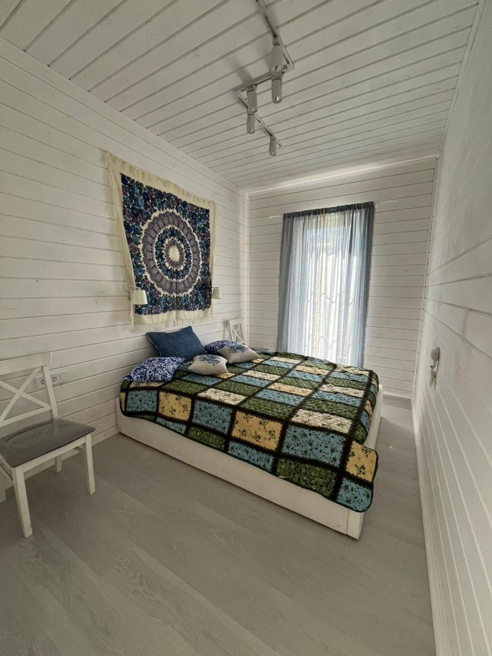 Рябина комнаты