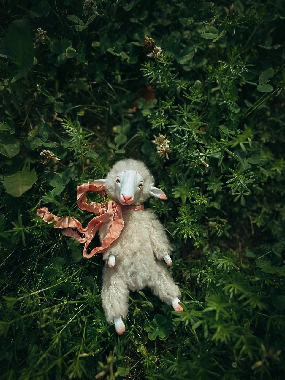 Тедди. Фотограф Ольга Сальманович