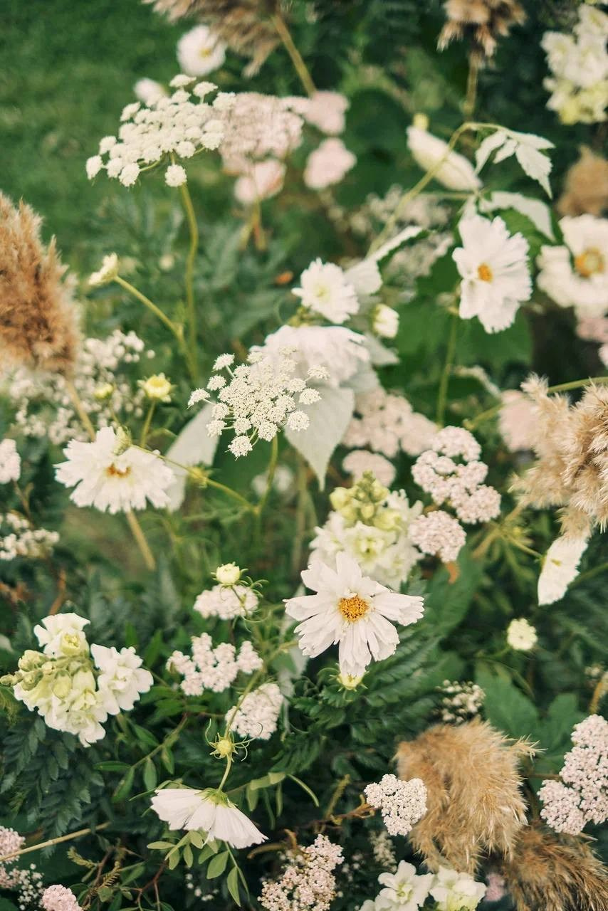Никита и Виктория. Организатор свадеб Барнаул/Алтай/Дагестан