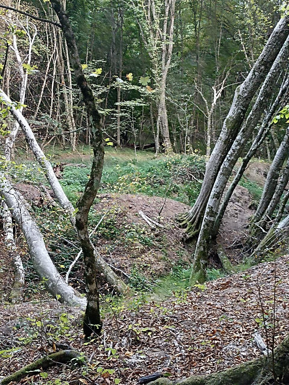 Горячий Ключ (2024-09-20). Собор Отрасли