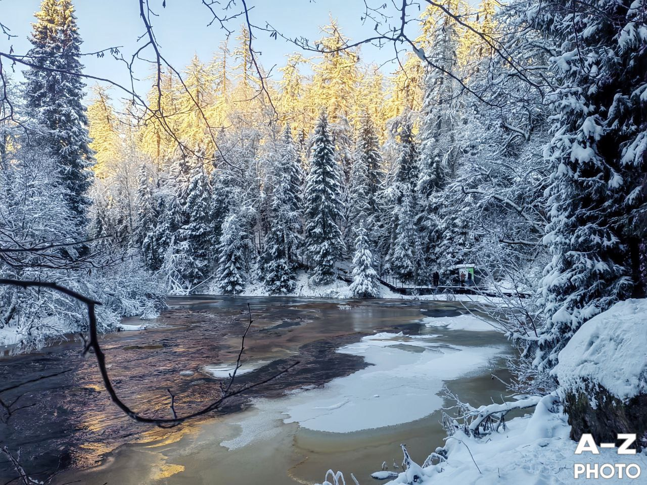 #ФОТОНЕДЕЛИ 12.01.2026. Женский семейный фотограф Тула Москва Захарова Анна