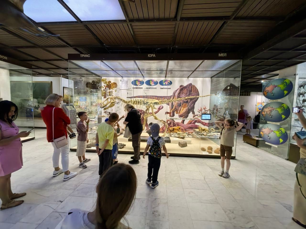 Дарвиновский музей г. Москва экологические приключения. АНО «Центра социальных проектов «Путь в большой мир»