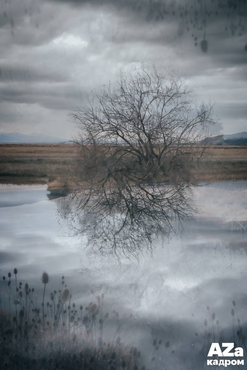 AZакадром Импрессинизм. Женский семейный фотограф Тула Москва Захарова Анна