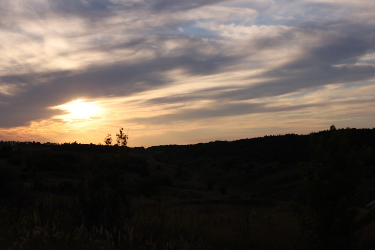 Отзывы. Свадебный и семейный фотограф Захарова Юлия