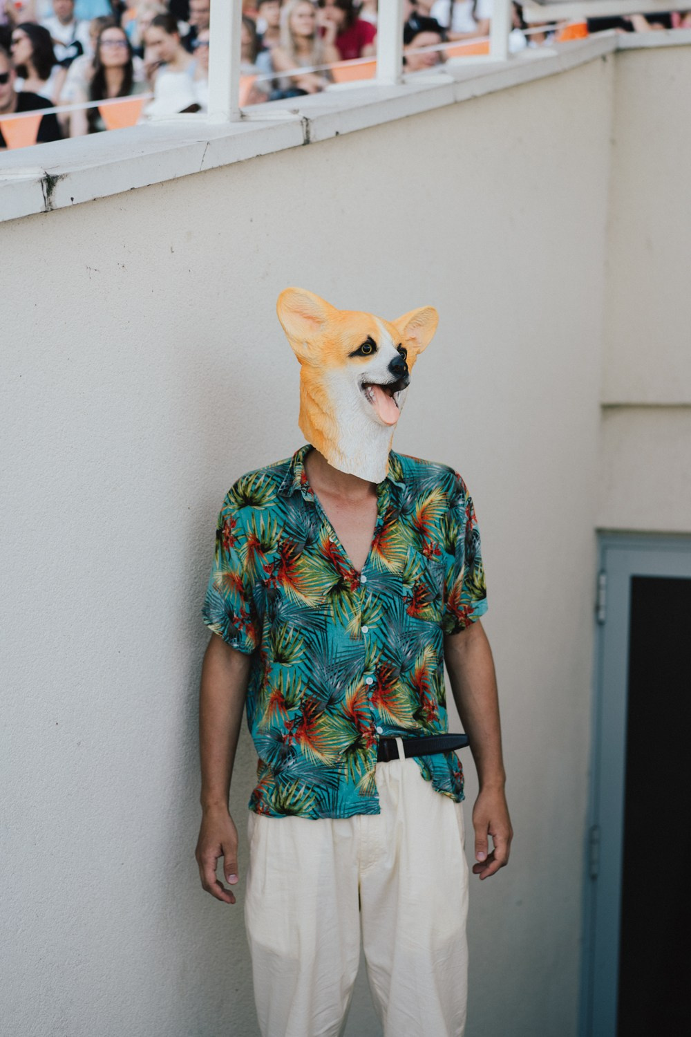 Corgi Race 2024. Photographer in Vilnius