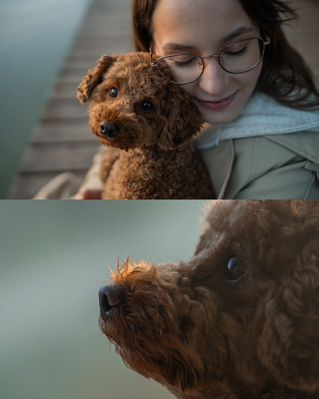 Лия и Чарли. Фотограф анималист в Москве и Санкт-Петербурге Свиридова Анна