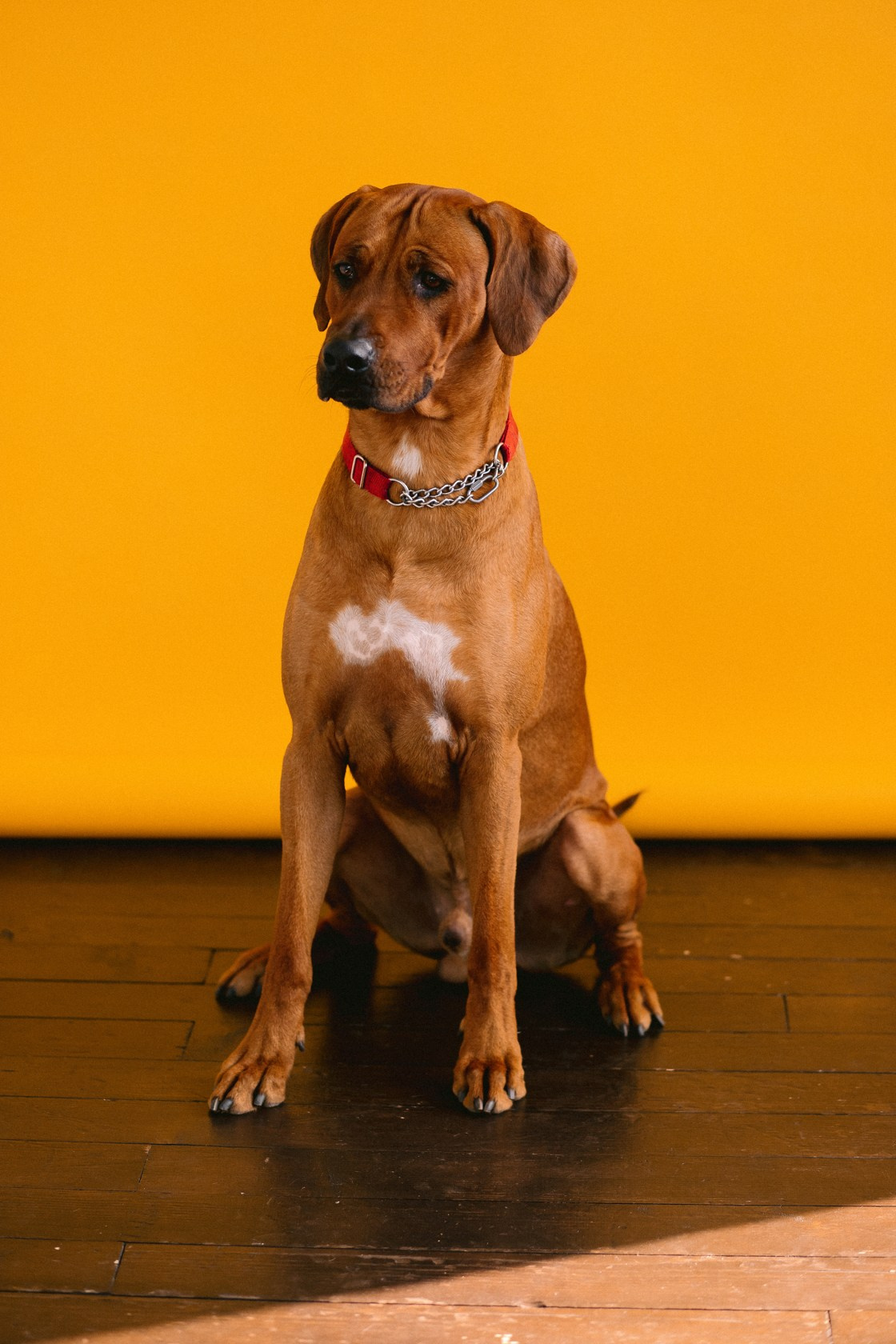 Виктория и Клинч