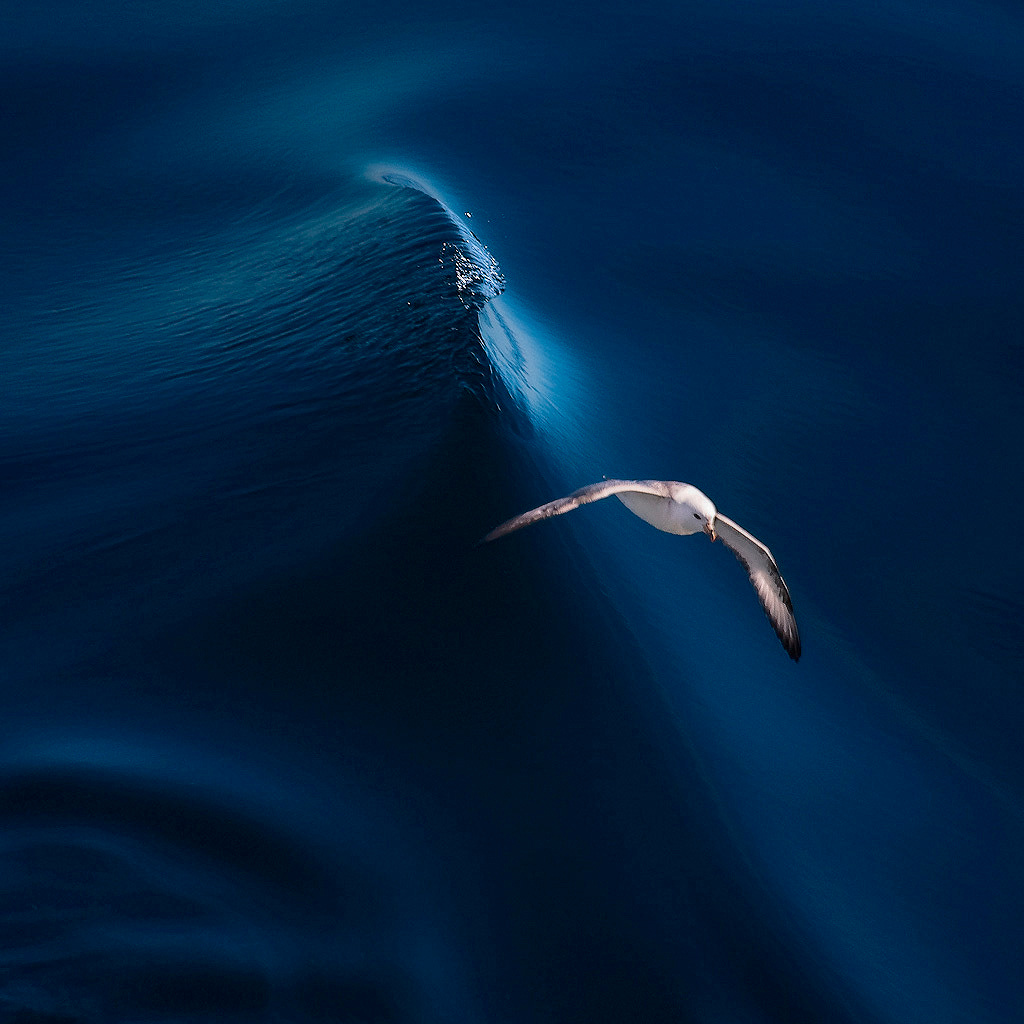 Пейзажи. Предметный фотограф в Москве Вячеслав Тимошенко