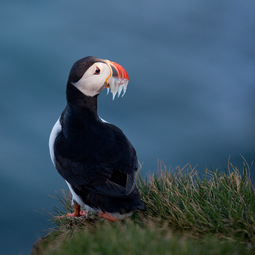 Пейзажи. Предметный фотограф в Москве Вячеслав Тимошенко