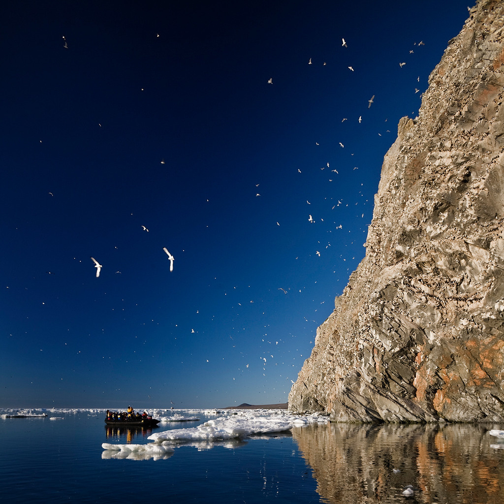 остров Врангеля