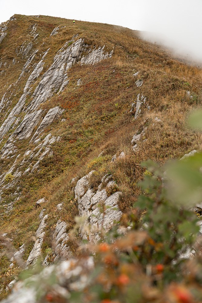 Трейловый бег «Альпиндустрия. Три курорта''. Репортажный фотограф в Красной Поляне и Сочи Павлюченко Екатерина
