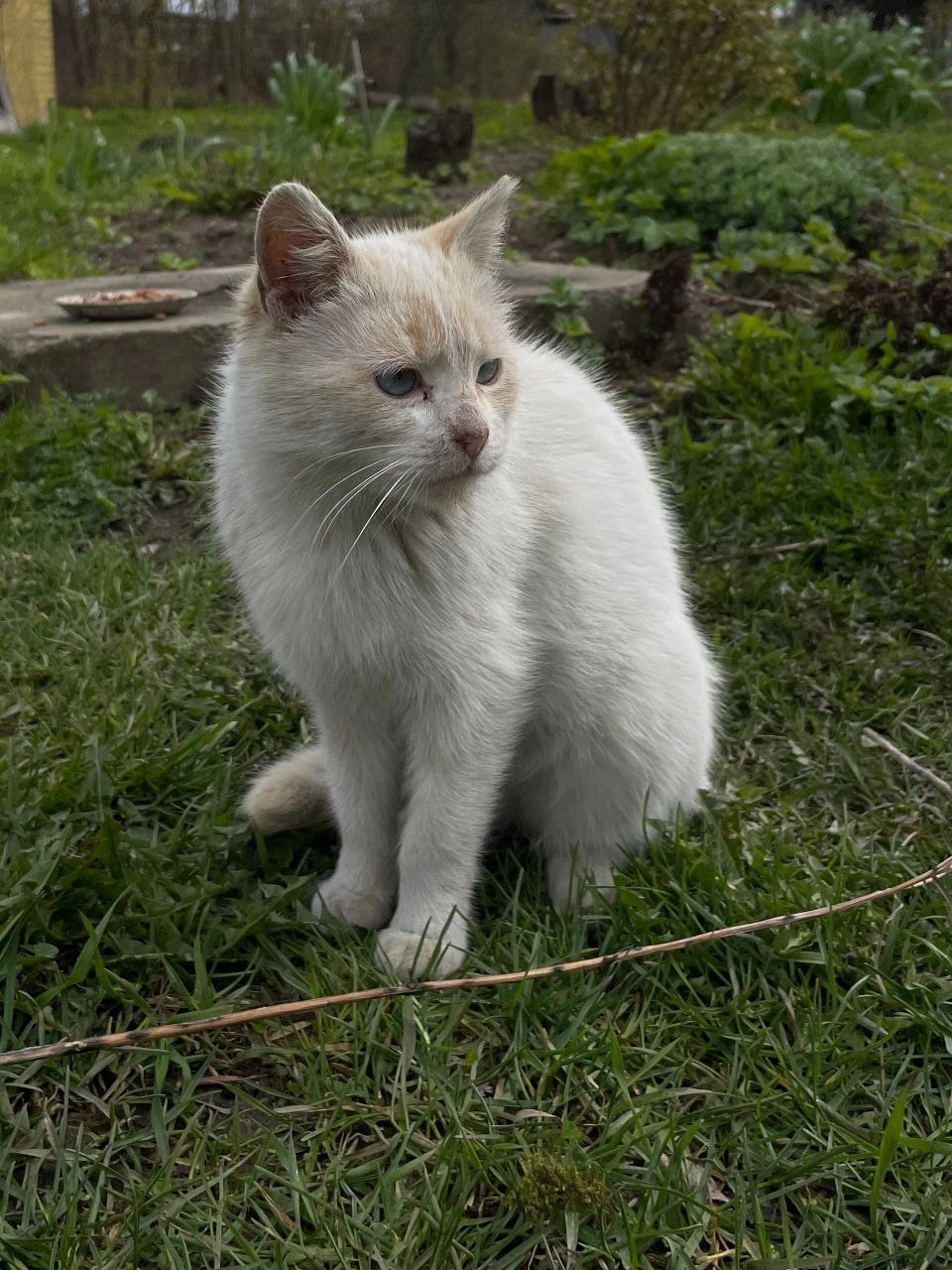 В мире животных. Фотокружок «Видоискатель» ГБОУ СОШ № 291