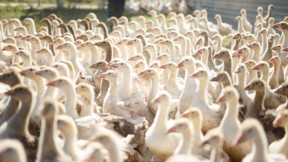 Актанышский район. Промышленный фотограф | Бизнес-фотосессии | Казань и РФ
