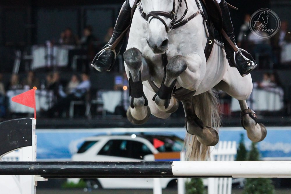 How to buy a horse. Liana Antanovich | Equestrian Strategies