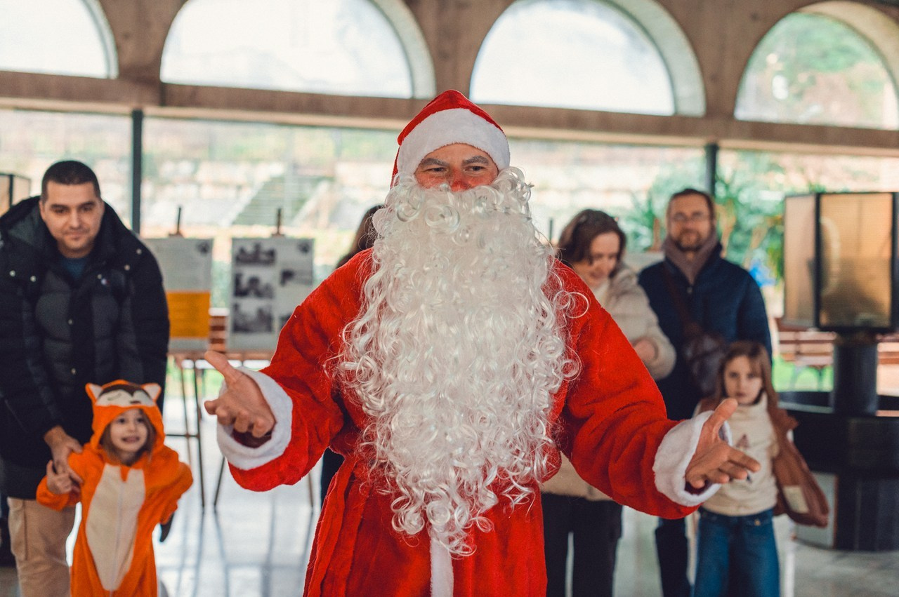 Ваш фотограф в Санкт-Петербурге. Фотограф Светлана Пажильцева