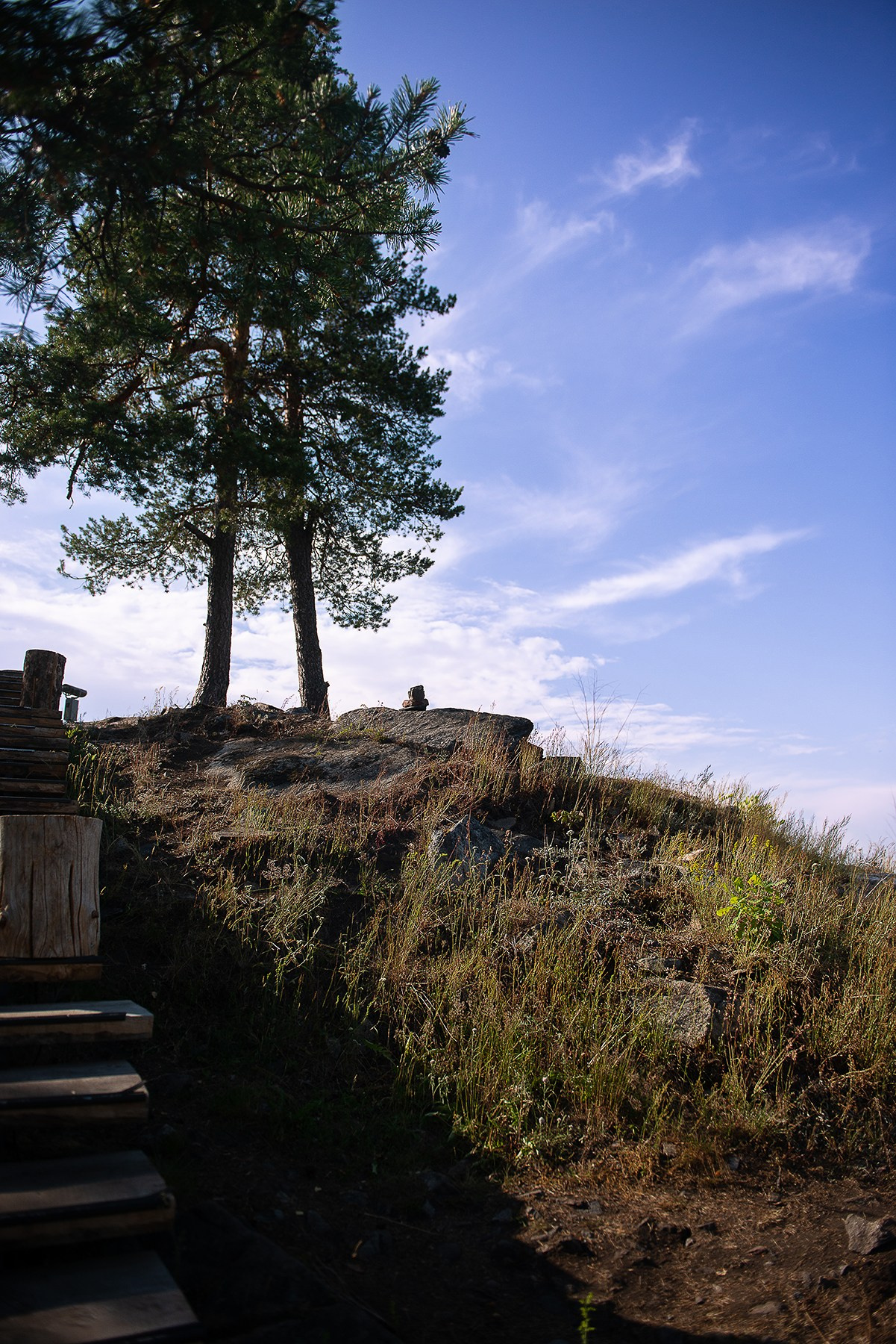 Карелия. Фотограф-анималист Наталья Светличная