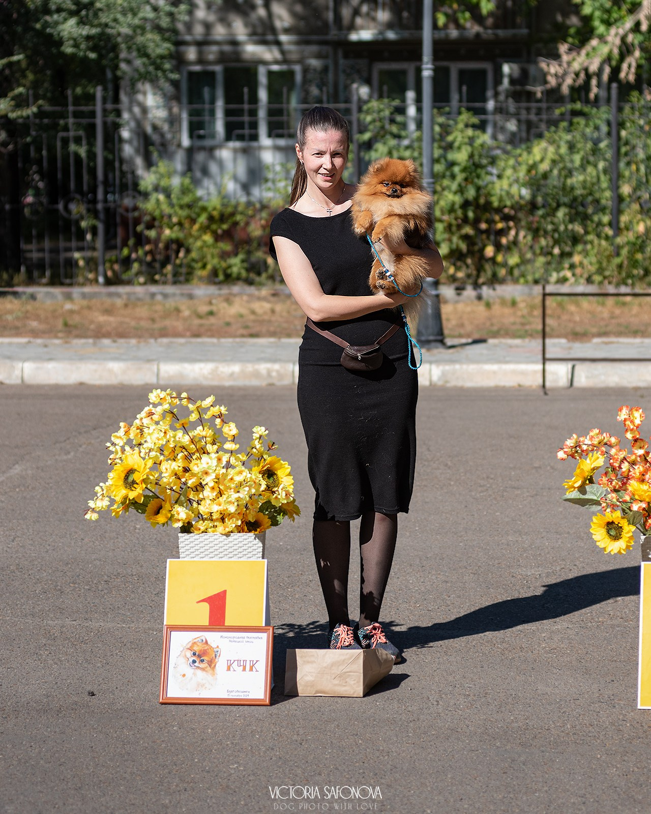 15 сентября 2024. Благовещенск. Монопородная выставка шпицев. Фотограф анималист Благовещенск. Сафонова Виктория