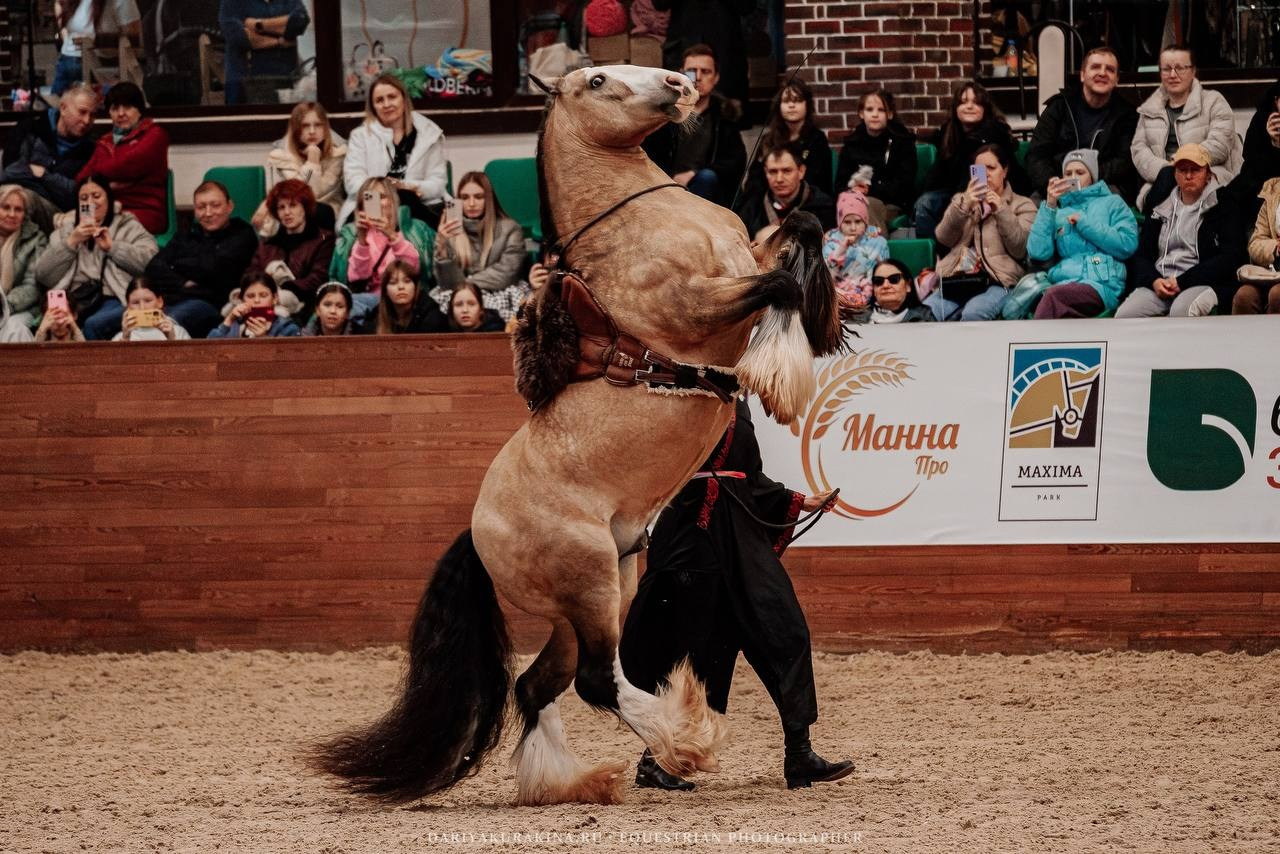 КОННАЯ ВЕСНА 2025. Куракина Дарья • Конный фотограф