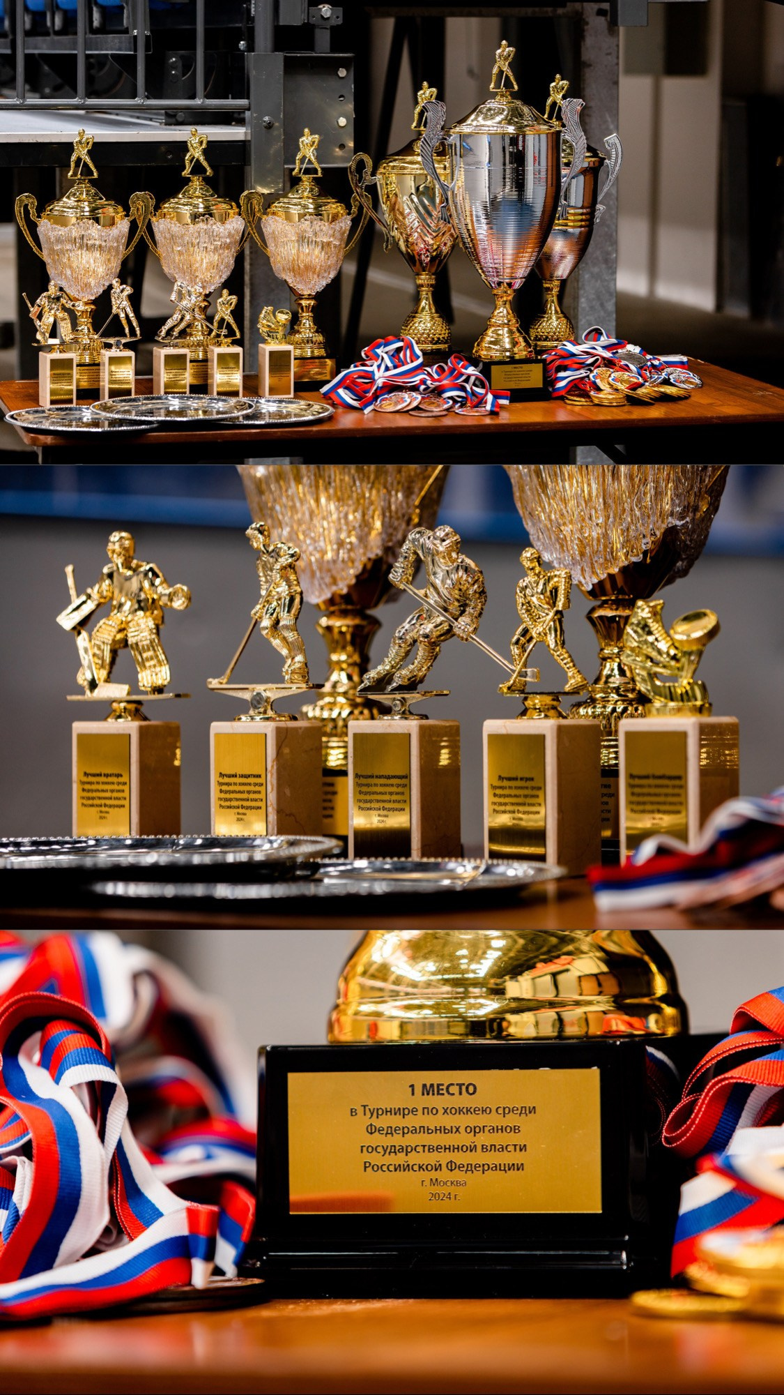Финалы по хоккею среди государственных органов РФ. Павел Шарапов | Фотограф | Москва