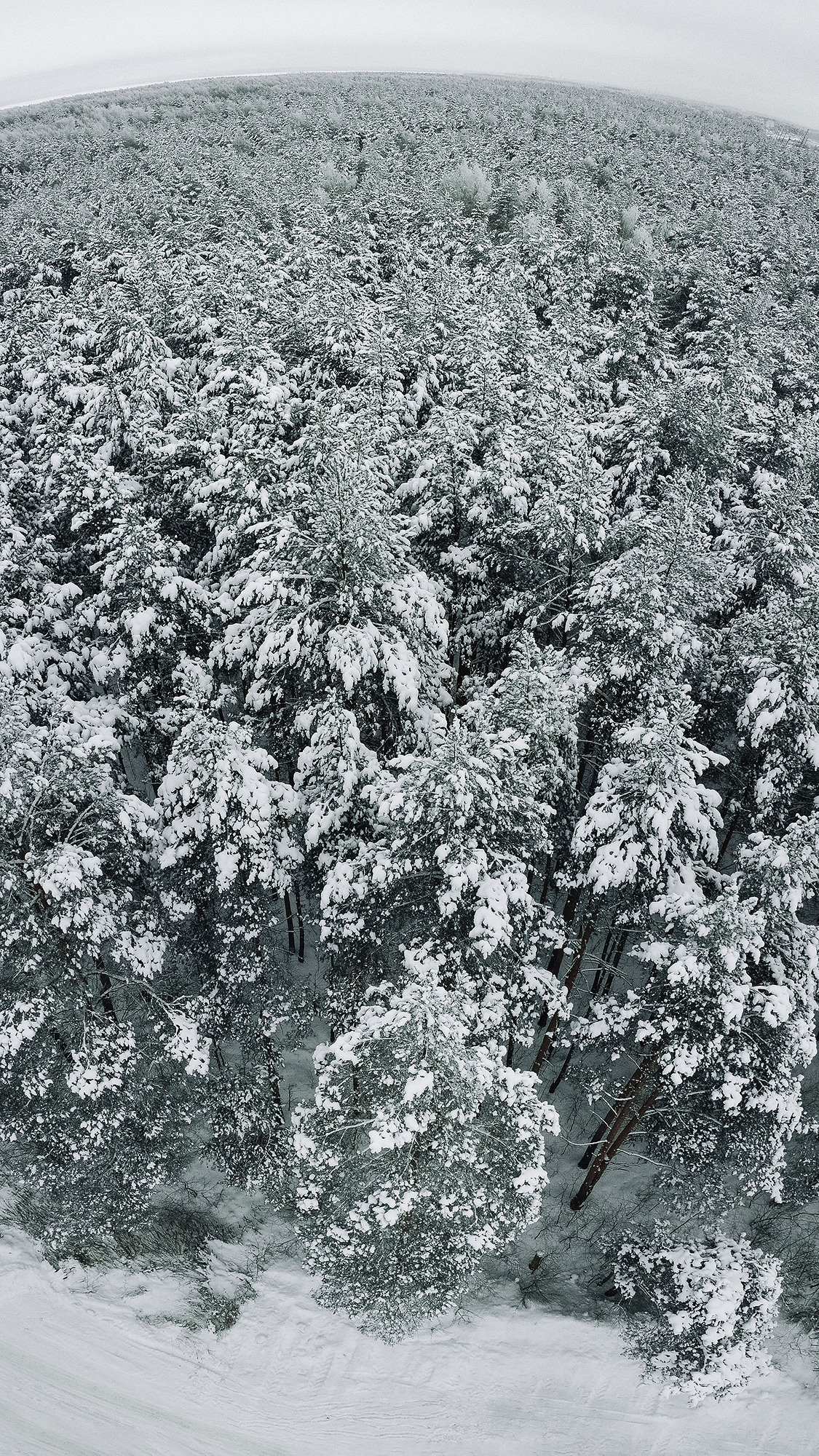 Аэросъемка. Фото|видеосъемка в Рыбинске